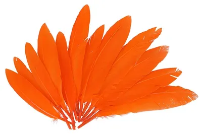 Bastelfedern orange 60 Stück 25x140 mm für kreative Projekte