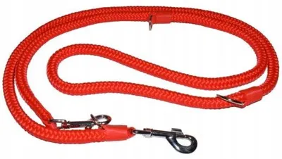 Produktbild von Dino Seil Hundeleine Rot Verstellbar 300cm