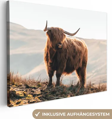 Produktbild von MuchoWow® - Leinwandbilder - Schottische Highlander - Tiere - Ländlich - Landschaft - Kuh - Natur, Wandbild, Wanddeko Bilder Wohnzimmer, 80x60 cm