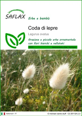 Immagine prodotto di SAFLAX  - Coda di lepre - 100 semi - Lagurus