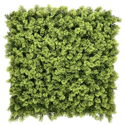 Image de Mur végétal pour l'intérieur et l'extérieur, 55 x 55 cm, LEAFLUXE 3, tapis de plantes artificielles, décoration murale, végétalisation murale