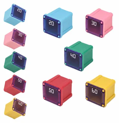 Flachsicherungen 20A 30A 40A 50A 60A, 10 Stück