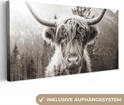 Produktbild von MuchoWow® - Leinwandbilder - Schottischer Highlander - Kuh - Tiere - Schwarz - Weiß, Wandbild, Wanddeko Bilder Wohnzimmer, 40x20 cm