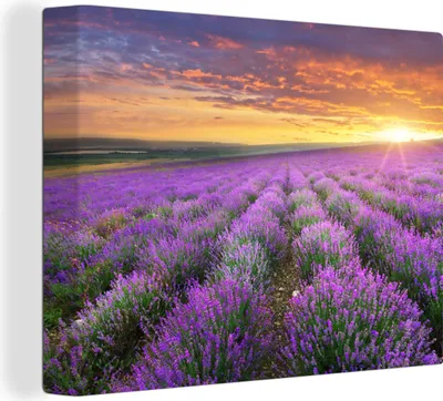 Produktbild von MuchoWow® - Leinwandbilder - Lavendel - Wolken - Frühling, Wandbild, Wanddeko Bilder Wohnzimmer, 120x90cm