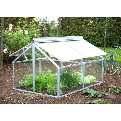 A small greenhouse filled with plants sits in a garden setting.