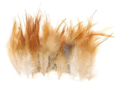 Produktbild von Sattelfedern - 10,2–15,2 cm Länge - Für Traumfänger und Ohrringe - 100 Stück - Bunt