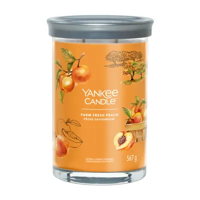 Produktbild von Yankee Candle Signature, Zylinder, Orange, Aprikose, Pfirsich, Vanille, 100 h, 1 Stück(e)