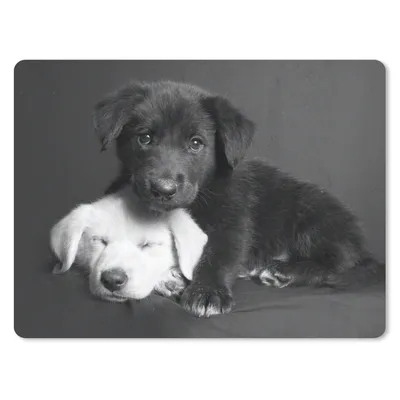 Produktbild von MuchoWow® Mauspad Mousepad Hunde - Welpe - Schwarz - Weiß - Tiere 23x19 cm - Mousepads - Maus Mat - Pad - Mausunterlage - Schreibtischunterlage - Mauspad