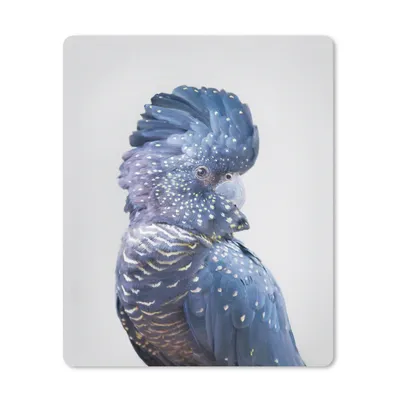 Produktbild von MuchoWow® Mauspad Mousepad Kakadu - Blau - Tiere - Natur 30x40 cm - Mousepads - Maus Mat - Pad - Mausunterlage - Mausmatten