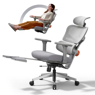 Image de NEWTRAL NT002 Chaise de bureau ergonomique avec repose-pieds - chaise de bureau à haut dossier avec soutien lombaire réglable unique 4D gris