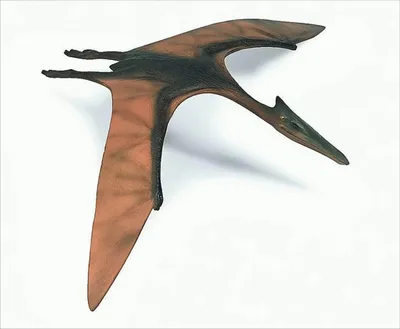 Image de Schleich 16417 Quetzalcoatlus