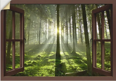 Produktbild von Hubert Körner: Fensterblick - Wald im Gegenlicht, Produkt:Vinylfolie, Größe (HxB):70x100 cm / Vinyl