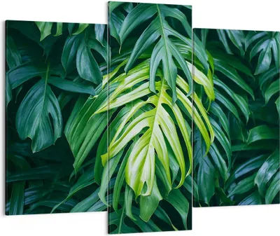 Produktbild von Bild auf Leinwand - Leinwandbild - Blume Natur - 130x100cm - Wand Bild - Wanddeko - Wandbilder - Leinwanddruck - Bilder - Kunstdruck - Wanddekoration - Leinwand bilder - Wandkunst - CB130x100-3951
