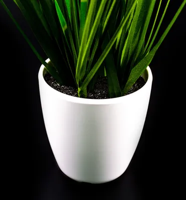 Image de Klocke Dekorationsbedarf Plante artificielle - herbe dans un pot - 3 pièces - hauteur : 36cm - couleur : vert - herbe artificielle/décoration de table