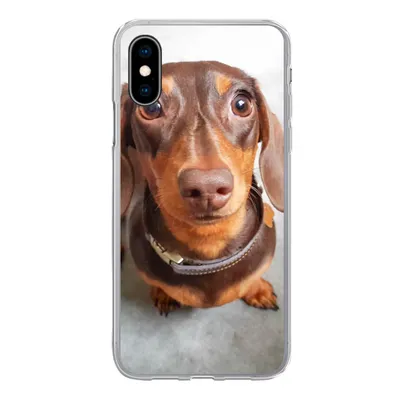 Produktbild von MuchoWow® Handyhülle Schutzhülle Hülle für iPhone X Nahaufnahme des Kopfes eines Dackels Silikon Softcase Handy Hülle - Handyhülle