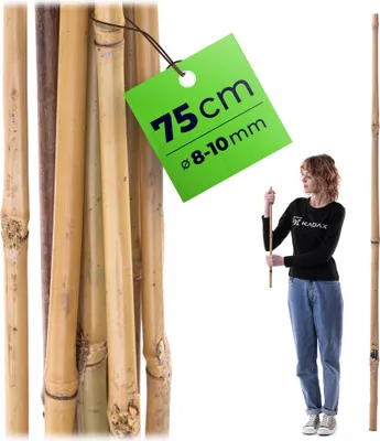 Produktbild von KADAX Bambusstab 75 cm x 10 mm, 1 Stück, Pflanzstab aus Bambus als Rankhilfe für Tomatenpflanzen & Kletterpflanzen, Pflanzenstab für Garten & Gewächshaus