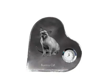 Produktbild von Birmakatze - Kristalluhr mit Katzenbild, Herzregal-Uhr, personalisierte Standuhr von Art-Dog.