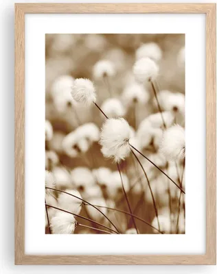 Produktbild von Gerahmtes Poster - Rahmen in heller Eiche - Baumwolle Boho Wollig - 30x40 cm - Wand Bild - Wanddeko - Wandbilder - Kunstposter - Wandposter - Bilderrahmen - Bilder - Kunstdruck - P2NPA30x40-4850