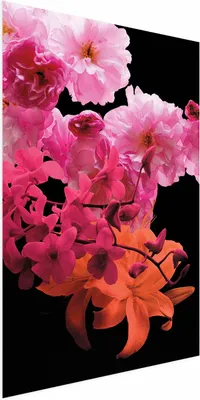 Produktbild von Posterpapier Poster - Spring Saturation 29.7x42 cm Blumen b-C-0358-ao-a