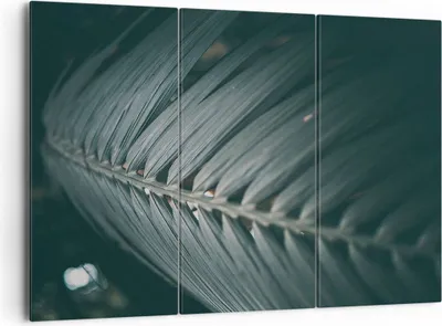 Produktbild von Bild auf Leinwand - Leinwandbild - 3 Teile - Blatt Palme exotisch - 165x110cm - Wand Bild - Wanddeko - Wandbilder - Leinwanddruck - Bilder - Wanddekoration - Leinwand bilder - CE165x110-4907