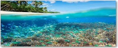 Produktbild von Tulup® Glas-Bild Wandbild aus Glas - 125x50 - Wandkunst - Wandbild hinter gehärtetem Sicherheitsglas - Dekorative Wand für Küche & Wohnzimmer  - Landschaften - Korallenriff - Blau