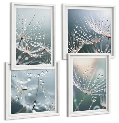 Produktbild von Bilder Set 4-teilig im weißen Rahmen – Wandbilder 4 Stück – gerahmte Poster für Wohnzimmer, Schlafzimmer und Flur – 50x50 cm - 40x60 cm – Wassertropfen auf Löwenzahnsprossen