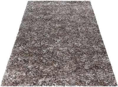Image de Enjoy Shaggy tapis poils longs rectangle 120x170cm beige