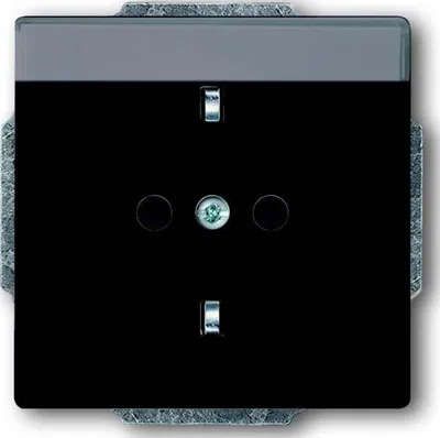 Produktbild von Busch-Jaeger Steckdose 20 EUN-81 2CKA002011A3802