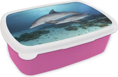 Obrázok produktu pre KitchenYeah® Lunchbox Box na obed 17x11 cm Delfín - teľa - more Detský box na desiatu - obedový balíček - box na chlieb - sendvičový box