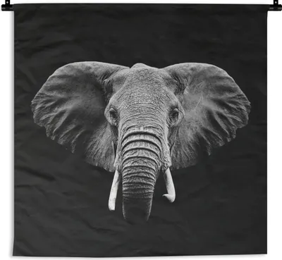 Produktbild von MuchoWow® Wandteppich Wandbehang Elefant - Tiere - Schwarz - Weiß 150x150 cm Tapisserie Dekoration Wandtuch - Wohnaccessoires - Modernes