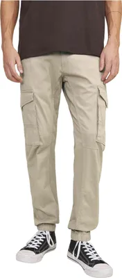 Produktbild von Jack&Jones Pants 48651359486291 in Beige color size 34W / 32L