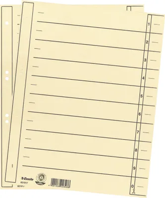 Produktbild von Trennblatt 621017 DIN A4 24x30cm 10/20Taben chamois 100 Stück Packung mit 10 Stück