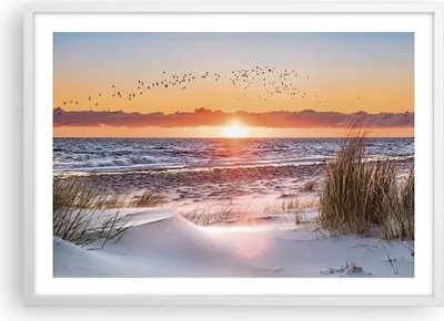Produktbild von Gerahmtes Poster - Weißer Rahmen - Sonne Strand Vögel - 70x50 cm - Wand Bild - Wanddeko - Wandbilder - Kunstposter - Wandposter - Bilderrahmen - Bilder - Kunstdruck - Wanddekoration - P2WAA70x50-4727