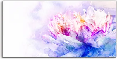 Produktbild von Coloray Spritzschutz aus Glas 140x70  Wandkunst Küchenrückwand Foto Kunstdruck groß Aquarell der Blume
