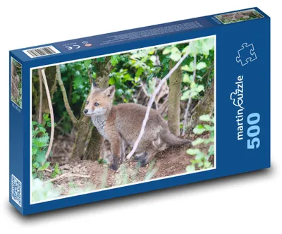 Zdjęcie produktu dla Puzzle 500 Lisiątko w lesie - martinpuzzle