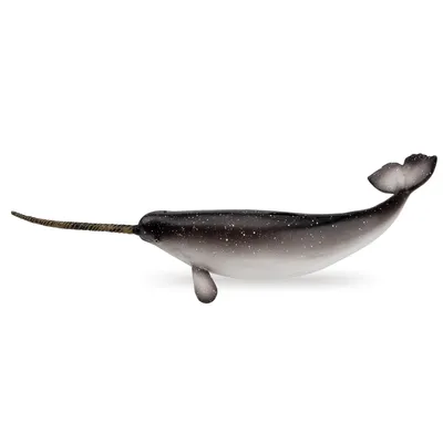 Produktbild von Toymany ML00370 Narwal 18,8 cm Wasserwelt
