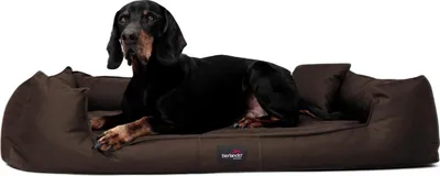 Produktbild von tierlando® Orthopädisches Hundebett GOOFY >> inkl. Matratzenschoner << Polyester - Größe: 130x100cm | Farbe: 01 Braun