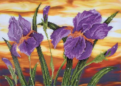 Produktbild von Diamond Dotz Diamond Painting Iris Sunset Bild Erwachsene
