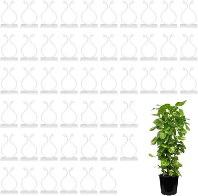 Produktbild von PolkaHome® 50 Stück Pflanzenclips Groß Wandhalterung für Kletterpflanzen Selbstklebend Transparent