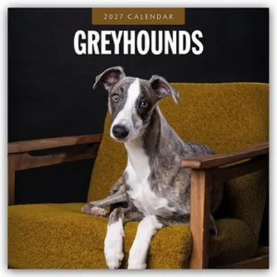 Produktbild von Greyhound - Windhund 2027 - 16-Monatskalender