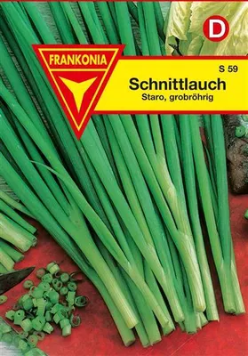 Produktbild von Schnittlauch Staro
