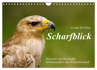 Immagine prodotto di Scharfblick (calendario da parete 2027, formato DIN A4 orizzontale), calendario mensile CALVENDO