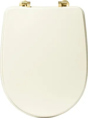 A top-down view of a closed toilet seat.