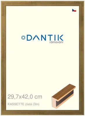 Obrázok produktu pre Rám DANTIK 29,7x42 | KASSETTE gold (Plexi Clear)