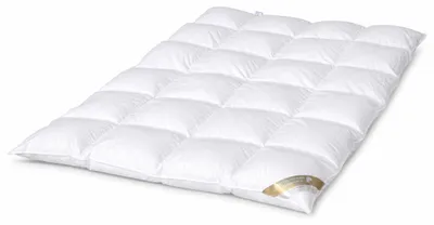Produktbild von Betten Hofmann 8cm Winter Hochsteg Daunendecke Bettdecke 4x6 155x220 100% neue Daunen