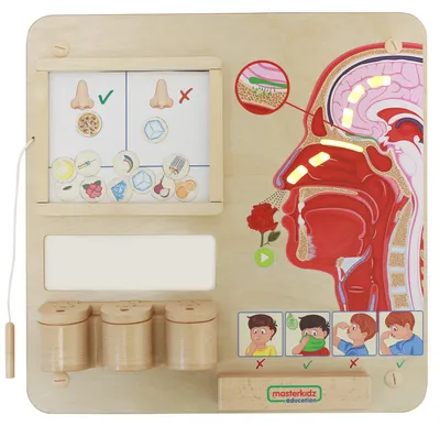 Produktbild von Masterkidz Montessori Lerntafel für Geruchssinn