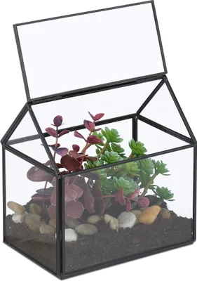Zdjęcie produktu dla Terrarium roślinne Relaxdays, szkło i miedź, 15 x 15 x 10 cm, szklana szklarnia dekoracyjna z kaktusami i mchem, szklana skrzynka na parapet, czarna