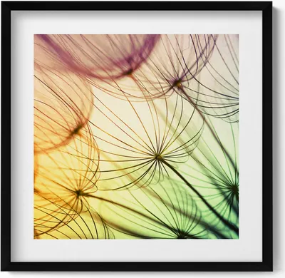 Produktbild von Zarte Pollen eines Löwenzahns– Wandbild mit Rahmen – Gerahmtes Bild  – Wanddekoration – 50x50 cm –  Schwarz Rahmen