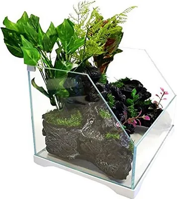 Zdjęcie produktu dla SunSun Aqua Paludarium 30l - zestaw paludarium SunSun