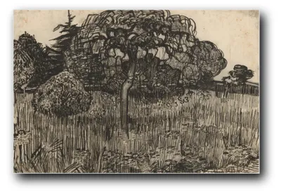 Produktbild von Kunstdruck „Weinender Baum“ von Vincent van Gogh – 40×60 cm – ungerahmt